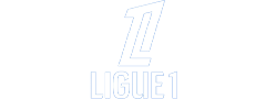 L1
